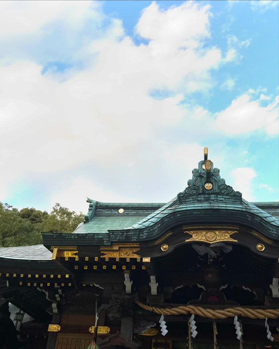 画像273